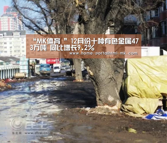 MK体育 