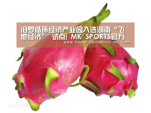  MK SPORTS官方网站 