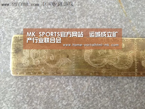  首页入口