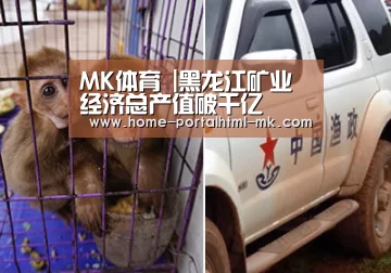  MK SPORTS官方网站 
