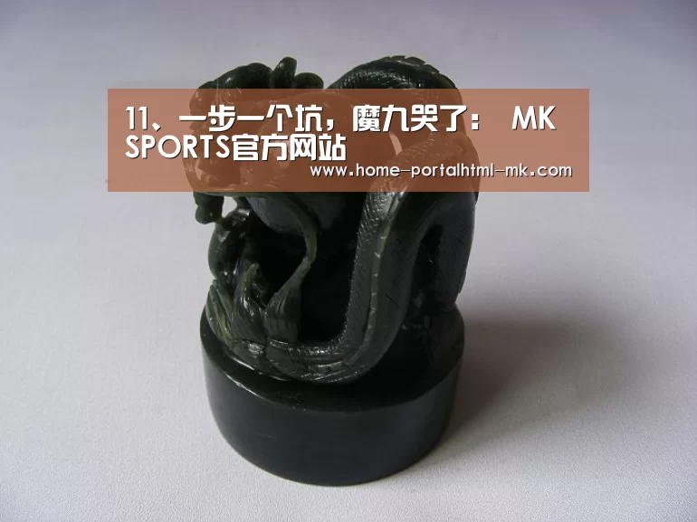  首页入口