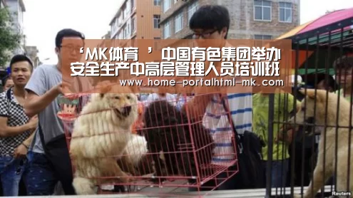 ‘MK体育 ’中国有色集团举办安全生产中高层管理人员培训班(图2) 首页入口
