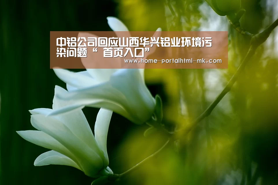 中铝公司回应山西华兴铝业环境污染问题“ 首页入口”(图1) 首页入口