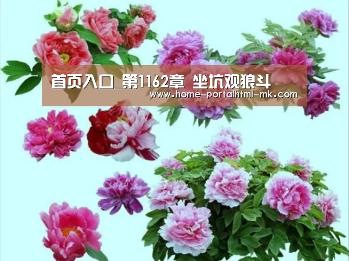 MK体育 