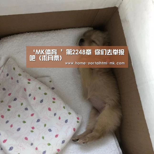  MK SPORTS官方网站 