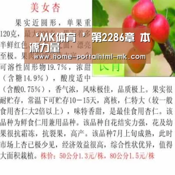 MK体育 